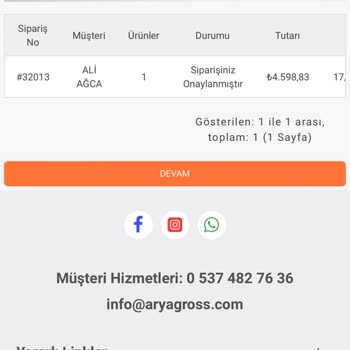 Arya Gross Ne Yapmaya Çalışıyor