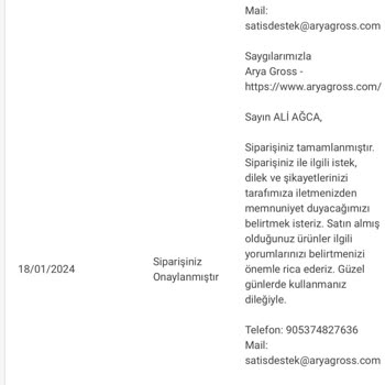 Arya Gross Ne Yapmaya Çalışıyor