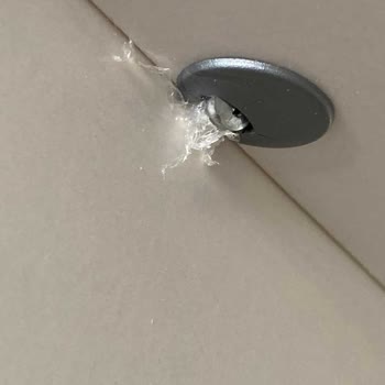 Bellona Markasının Yaşattığı Mağdurluk