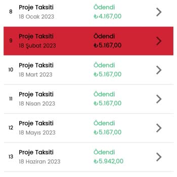 Birevim'in Ödemeleri Geciktirmesi