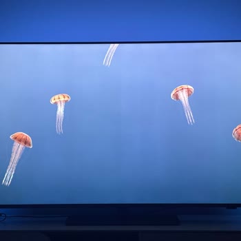 Philips TV Dikey Bulutlanma Ve Kirli Ekran Sorunu