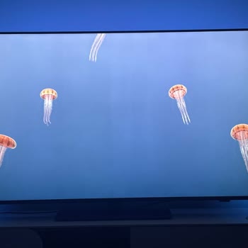 Philips TV Dikey Bulutlanma Ve Kirli Ekran Sorunu