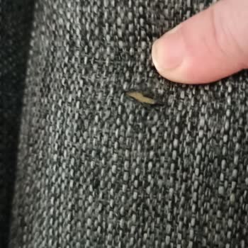 Gündoğdu Mobilya Mobilya Takımında Deforme