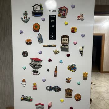 Vestel Garanti Kapsamındaki Ürün İçin Destek Talebi