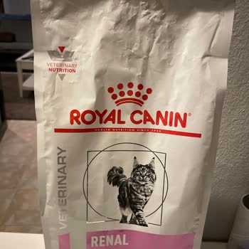 Royal Canin кошка перестала есть корм