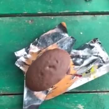 Eti Pop Kek Mutlu Kutu 100000 Kod Sorunu