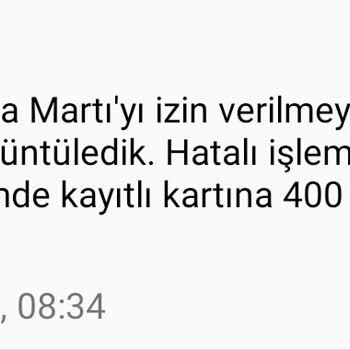Martının Saçma Cezası