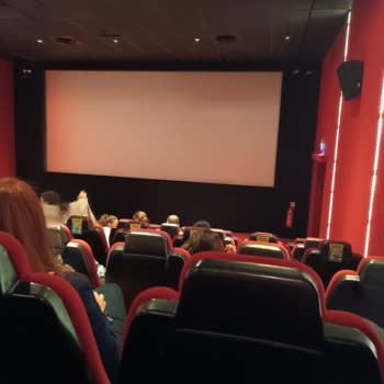 Paribu Cineverse Sinema Salonunun Sorumsuzluğu!
