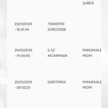 PTT Kargo PTT Pamukkale Dağıtım Şubesi Yalan Söyleyerek Kimliğimi Teslim Etmedi