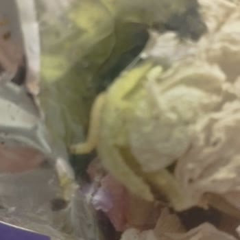 Botaniksan Baharat Paketlerinin İçerisinden Böcek Çıkması!