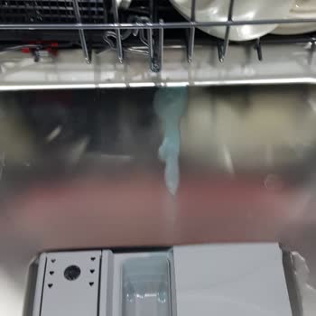 Hoover Bulaşık Makinesi Problemi