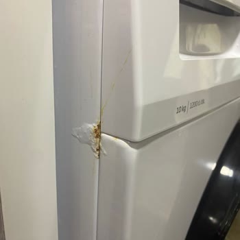 Beko Çamaşır Makinesi Küflendi