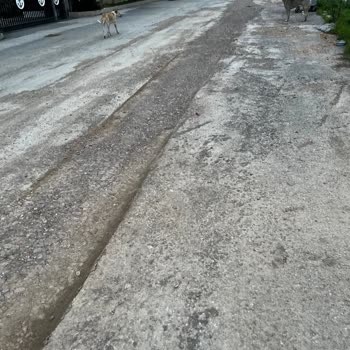 Güzelbahçe Belediyesi Temizlik Eksikliği, Kendi Çöplerini Toplamıyor