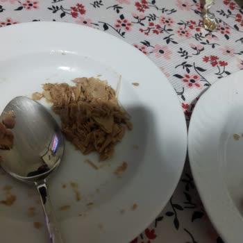 BİM Marketten Alınan Ton Balığı Ürününde Kılçık Bulundu