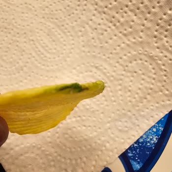 Doğuş Çay Cipso İnsan Sağlığı İle Oynuyor