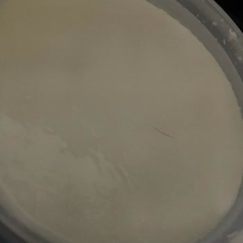 Sütaş Yoğurt İçinde Kıl Çıktı