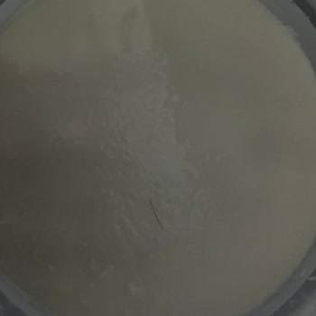 Sütaş Yoğurt İçinde Kıl Çıktı