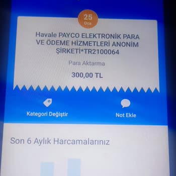 Payco Yatırım Geçmedi ve Bilgi Sıfır