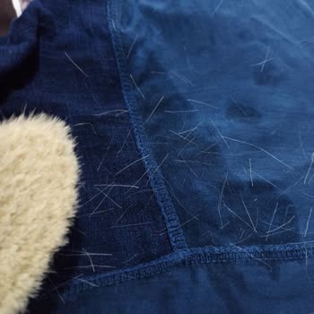 Lionesse Bebek Tarağı Kıl Çıkarıyor