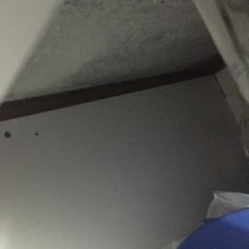 Ordu/Fatsa Artçı Mutfak İşini Baştan Savma Yapıyor