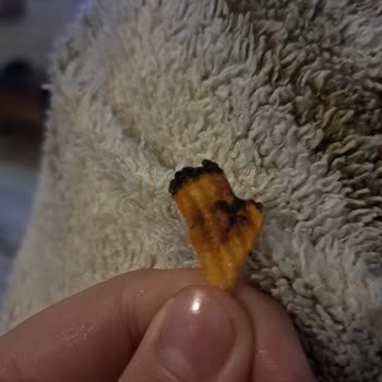 BİM'den Alınan Cipste Yabancı Cisim Şoku!