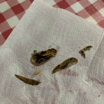 A101 Küflenmiş Ürün Satıyor