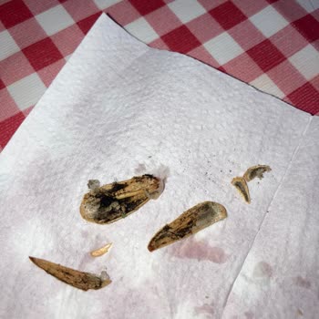 Çerezya Küflenmiş Ürün Satıyorlar