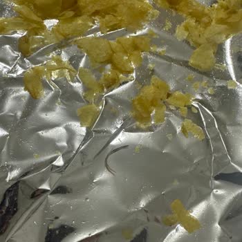 Lay's Paketinden Çıkan Yabancı Cisim