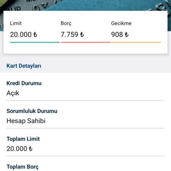 Garanti BBVA Gecikmedeki Olmayan Borç