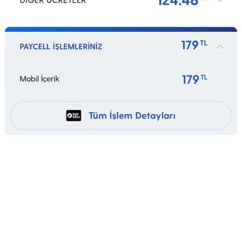 Zaplium Üyelik Ve Vizyon Elektrik Para Hizmetleri