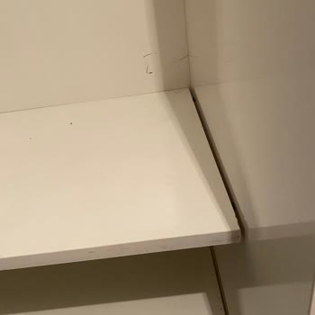 Samet Nakliyat Kayseri'de Eşya Taşıma Hüsranı