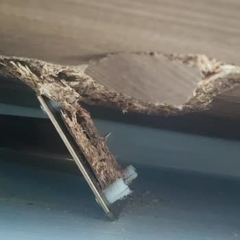 Modalife Yüzünden Çeyizim Paramparça Oldu