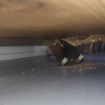 Modalife Yüzünden Çeyizim Paramparça Oldu