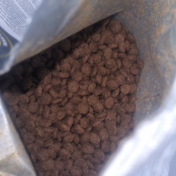 Farmina Nd Bozuk Ürün Gönderdi