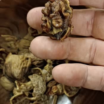 Mavras Zeytinyağı Kötü Ürünler