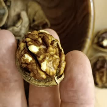Mavras Zeytinyağı Kötü Ürünler
