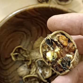 Mavras Zeytinyağı Kötü Ürünler