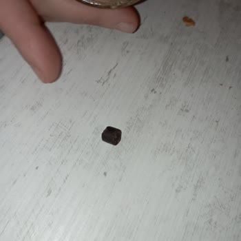 Trabzon Tarım Şekersiz Fıstık Ezmesinden Yabancı Cisim Çıkması Üzerine Şikayet