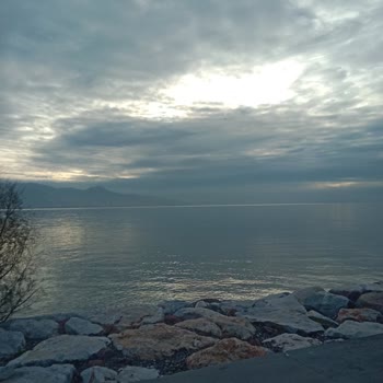 BinBin'e Para Yükledim Ama İzmir'de Yok!