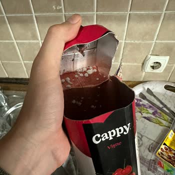 Cappy Meyve Suyu 1 Günde Küflenir Mi?