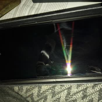 Omix X600 Pişmanlığı, Param Çöp Oldu