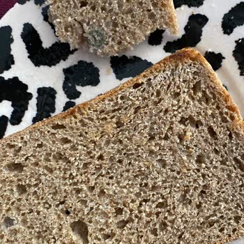 Tazedirekt Küflenmiş Ekmek Taze Direk Hayal Kırıklığı