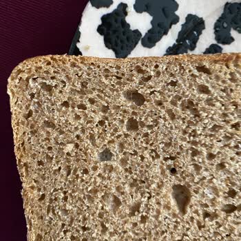 Tazedirekt Küflenmiş Ekmek Taze Direk Hayal Kırıklığı