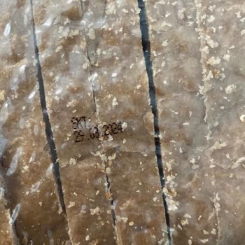 Tazedirekt Küflenmiş Ekmek Taze Direk Hayal Kırıklığı