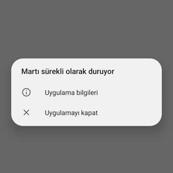 Martı Ödeme Yöntemi Ekleyemiyorum