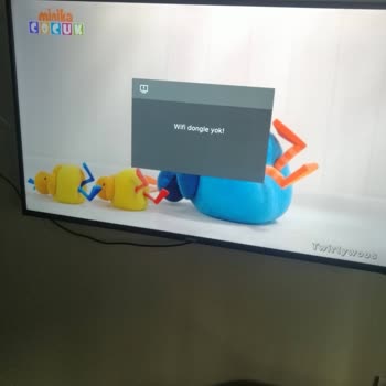 Altus TV ve Yetkili Servis