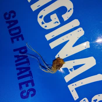 Ruffles Patates Cipsi Paketinden Çıkan Yabancı Madde