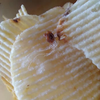 Ruffles Patates Cipsi Paketinden Çıkan Yabancı Madde