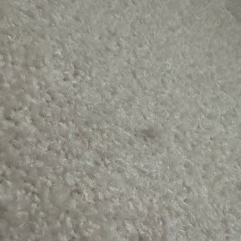 Koza Halı Kalitesiz Çocuk Odası Halısı