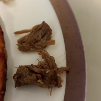 Başyazıcı Kavurmadan 2. Kez Kıl Çıktı